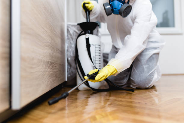Best Best Pest Control Companies  in Danville, AR