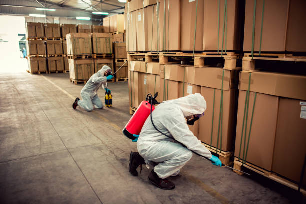 Best Ant Control Services  in Danville, AR