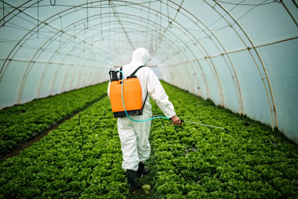 Best Commercial Pest Control Services  in Danville, AR