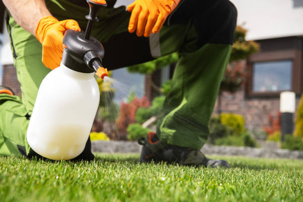 Best Best Pest Control Companies  in Danville, AR