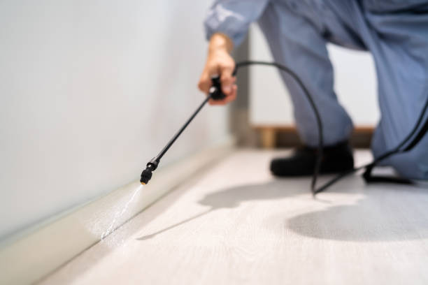Best Pest Prevention Services  in Danville, AR
