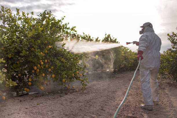 Best Pest Removal Services  in Danville, AR