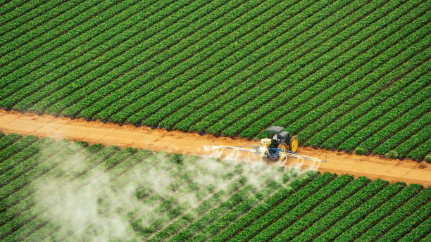 Best Affordable Exterminators  in Danville, AR