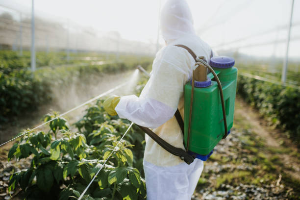 Best Pest Inspection Near Me  in Danville, AR